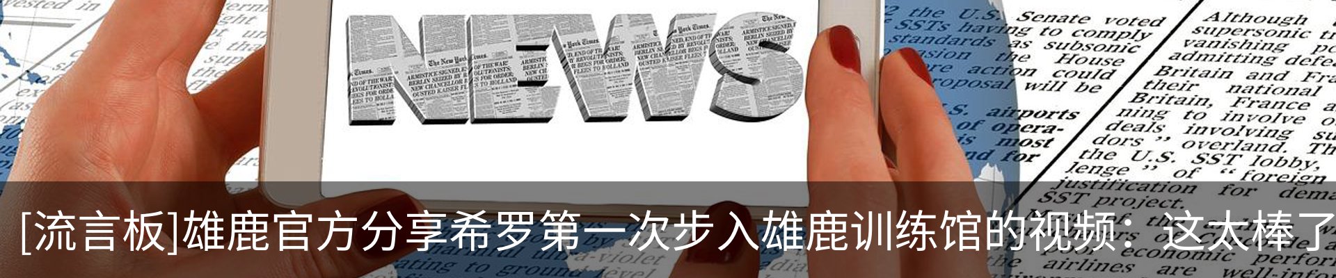 新闻动态